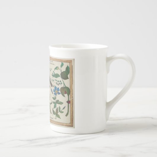 Antiek insecten, bloemen, vruchten Hoefnagel Porselein Kop (Rechts)