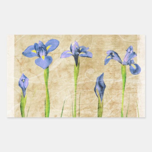 Antiek IRIS - Iris-achtergrond aanpassen Rechthoekige Sticker (Voorkant)
