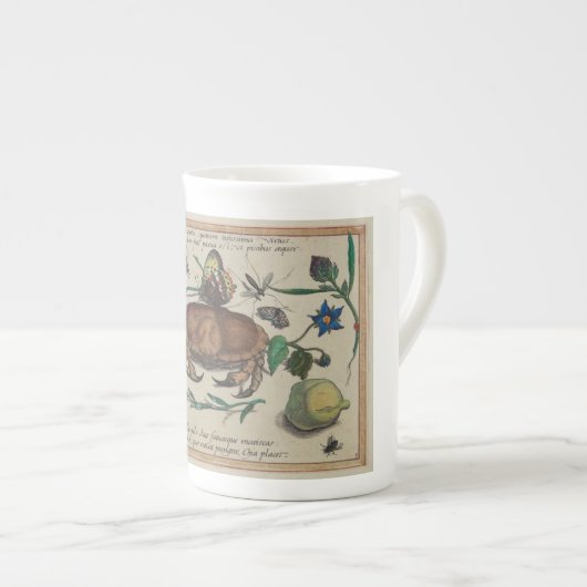 Antiek Joris Hoefnagel prints1500 insectenbloemen Porselein Kop (Voorkant rechts)