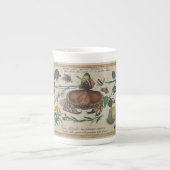 Antiek Joris Hoefnagel prints1500 insectenbloemen Porselein Kop (Voorkant)