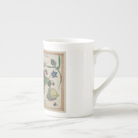 Antiek Joris Hoefnagel prints1500 insectenbloemen Porselein Kop (Rechts)