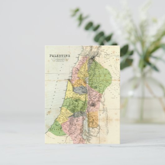 Antiek kaart - Biblical Palestine (Staand voorkant)