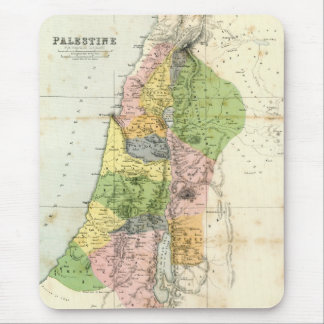 Antiek kaart - Biblical Palestine Muismat
