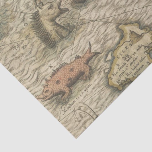 Antiek kaart en Zee maken loskoppeling Tissuepapier (Detail)