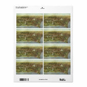 Antiek kaart, Panoramisch Uitzicht van Washington  Etiket (Full Sheet)