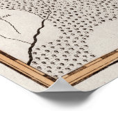 Antiek kaart Pruisen / Polen Masuria Meer Sniardwy Poster (Hoek)