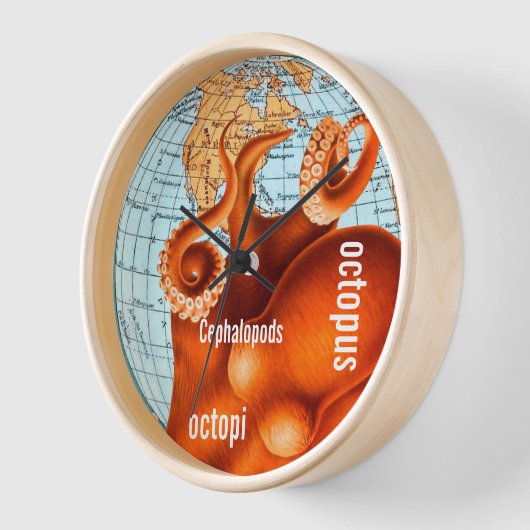 Antiek Kaart van de Kaart van de Muur Octopus (Hoek)