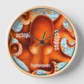 Antiek Kaart van de Kaart van de Muur Octopus (Voorkant)