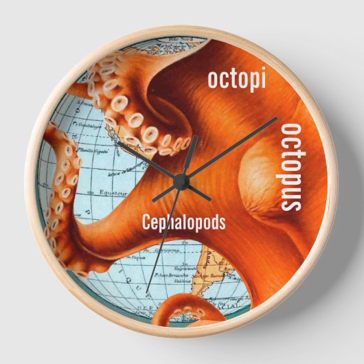 Antiek Kaart van de Kaart van de Muur Octopus (Voorkant)