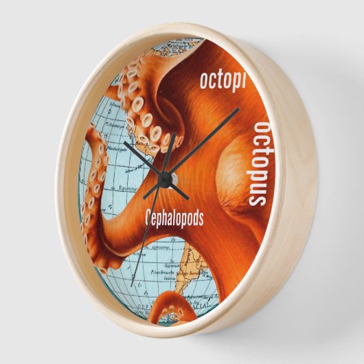 Antiek Kaart van de Kaart van de Muur Octopus (Hoek)
