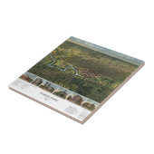 Antiek kaart van Houston, Texas met de buffelrivie Tegeltje (Zijkant)