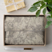 Antiek kaart van Parijs Tissuepapier (Geschenk)