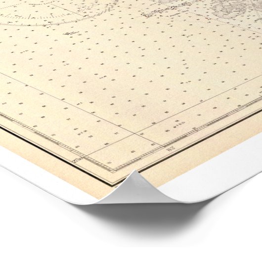 Antiek kaart van Tampa Bay Florida Poster (Hoek)