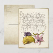  antiek kalligrafie botanische illustratie feestdagenkaart (Voorkant / Achterkant)