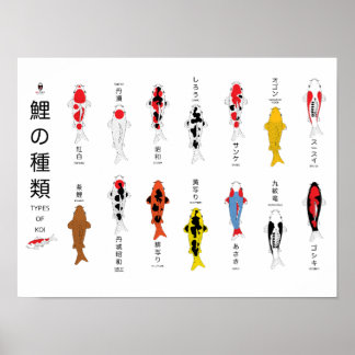 Antiek karper poster, handgeschilderd poster