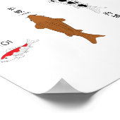 Antiek karper poster, handgeschilderd poster (Hoek)