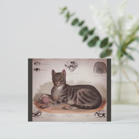 Antiek Kat Feestdagenkaart (Staand voorkant)