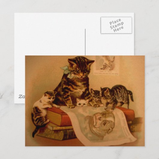 Antiek Kat Kittens & Books School Briefkaart (Voorkant / Achterkant)