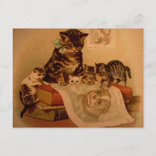 Antiek Kat Kittens & Books School Briefkaart