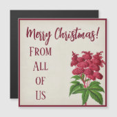 Antiek kerstfeest rode spiraea Palmata (Voorkant / Achterkant)