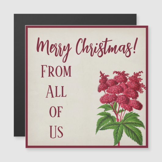 Antiek kerstfeest rode spiraea Palmata (Voorkant / Achterkant)