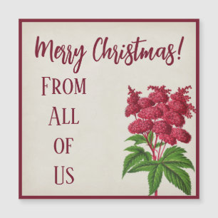 Antiek kerstfeest rode spiraea Palmata