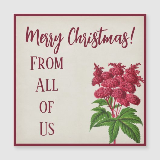 Antiek kerstfeest rode spiraea Palmata (Voorkant)