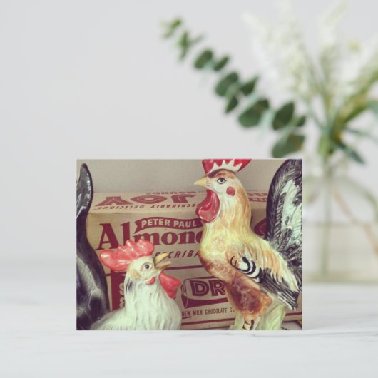 Antiek kippen briefkaart (Staand voorkant)