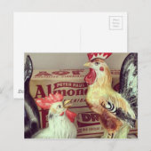 Antiek kippen briefkaart (Voorkant / Achterkant)