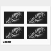 Antiek klarinet stilleven, B&W Rechthoekige Sticker (Vel)