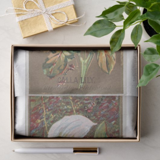  Antiek Klassieke Calla Lily Flower Tissuepapier (Geschenk)