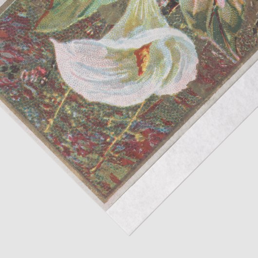  Antiek Klassieke Calla Lily Flower Tissuepapier (Detail)