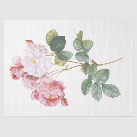 Antiek klassieke handbediende bloemen Tissuepapier (Voorkant)