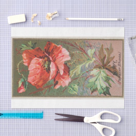  Antiek klassieke papaverbloem Tissuepapier (Craft)