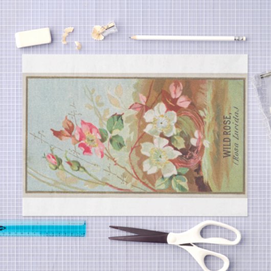  Antiek Klassieke Vrij Roos Vloer Tissuepapier (Craft)