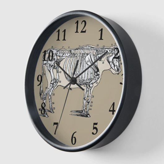 Antiek Koe Skeleton Botten Fun (Hoek)