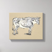Antiek Koe Skeleton Botten Fun Canvas Afdruk (Voorkant)
