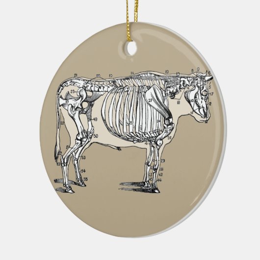 Antiek Koe Skeleton Botten Fun Keramisch Ornament (Links)