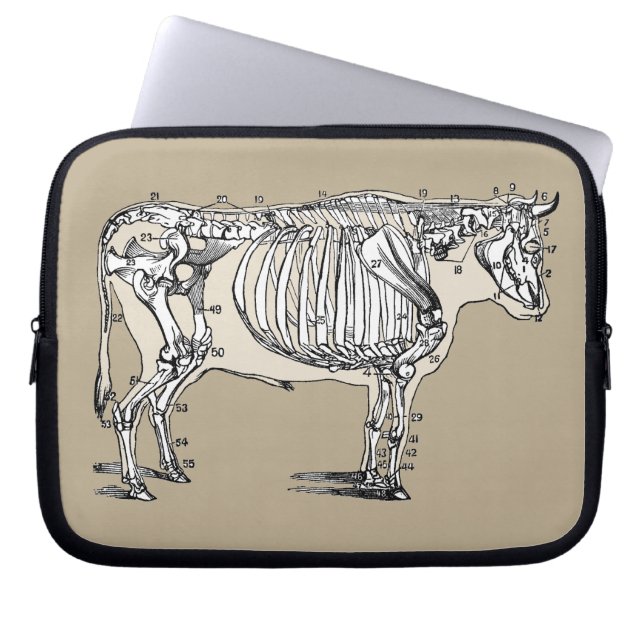 Antiek Koe Skeleton Botten Fun Laptop Sleeve (Voorkant)