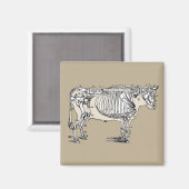 Antiek Koe Skeleton Botten Fun Magneet (Voorkant / Achterkant)