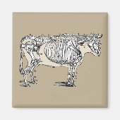 Antiek Koe Skeleton Botten Fun Magneet (Voorkant)