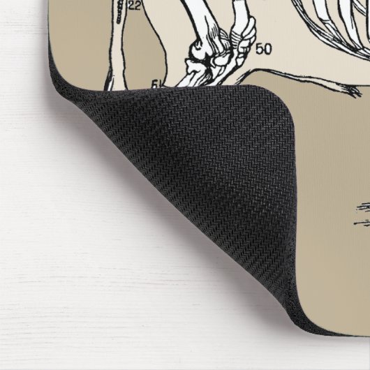 Antiek Koe Skeleton Botten Fun Muismat (Hoek)