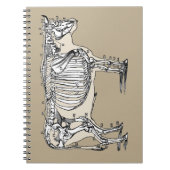 Antiek Koe Skeleton Botten Fun Notitieboek (Voorkant)