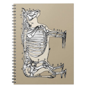 Antiek Koe Skeleton Botten Fun Notitieboek