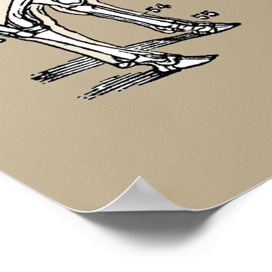 Antiek Koe Skeleton Botten Fun Poster (Hoek)