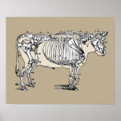 Antiek Koe Skeleton Botten Fun Poster (Voorkant)