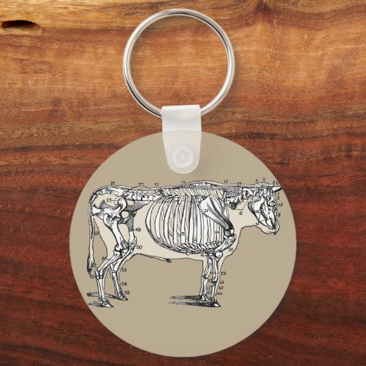 Antiek Koe Skeleton Botten Fun Sleutelhanger (Voorkant)