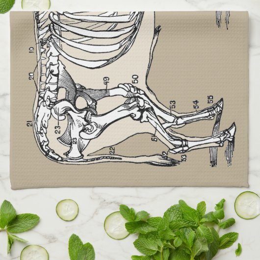 Antiek Koe Skeleton Botten Fun Theedoek (Gevouwen)