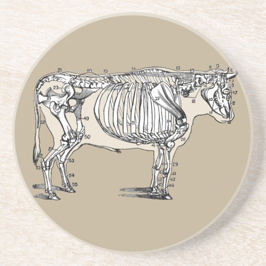 Antiek Koe Skeleton Botten Fun Zandsteen Onderzetter (Voorkant)