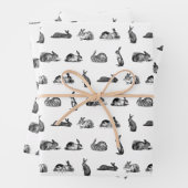 Antiek konijnen  kunst KLANTENKLEUR Inpakpapier Vel (In situ)